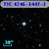TYC 4246-1447-1