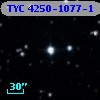 TYC 4250-1077-1