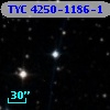 TYC 4250-1186-1