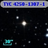 TYC 4250-1307-1