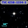 TYC 4250-1334-1