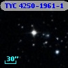 TYC 4250-1961-1
