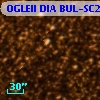 OGLEII DIA BUL-SC26    224