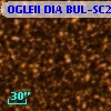 OGLEII DIA BUL-SC26   1361