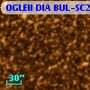 OGLEII DIA BUL-SC26   1929