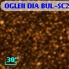 OGLEII DIA BUL-SC26   2274