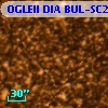 OGLEII DIA BUL-SC26   2594