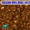 OGLEII DIA BUL-SC26   2830