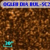 OGLEII DIA BUL-SC27    350