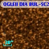OGLEII DIA BUL-SC27    509