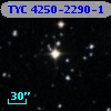 TYC 4250-2290-1