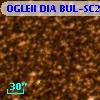 OGLEII DIA BUL-SC27    876