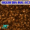 OGLEII DIA BUL-SC27   1513