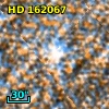 HD 162067