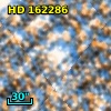 HD 162286