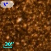 V* V709 Sco