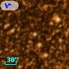 V* V451 Sco
