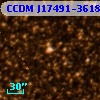 CCDM J17491-3618B