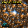 CCDM J17499-3621B