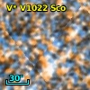 V* V1022 Sco