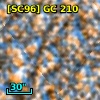 [SC96] GC 210