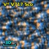 V* V717 Sco