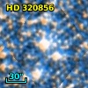 HD 320856