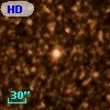 HD 162981