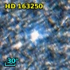 HD 163250