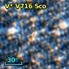 V* V716 Sco