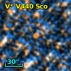 V* V440 Sco
