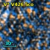 V* V426 Sco