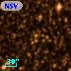 NSV 24048