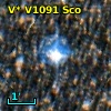 V* V1091 Sco