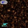 V* V446 Sco