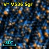 V* V536 Sgr