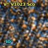V* V1023 Sco