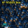 V* V1025 Sco