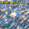 CPD-34  7267