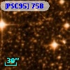 [PSC95]  75B