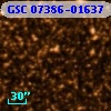 GSC 07386-01637