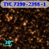 TYC 7390-2388-1