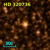 HD 320736