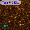Terz V 2131