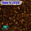 Terz V 2137