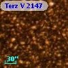 Terz V 2147