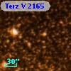 Terz V 2165