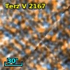 Terz V 2167