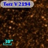 Terz V 2194
