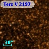 Terz V 2197